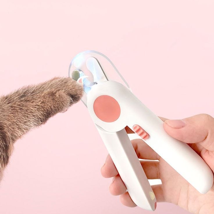 Nail Clipper