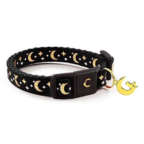Pet Collar