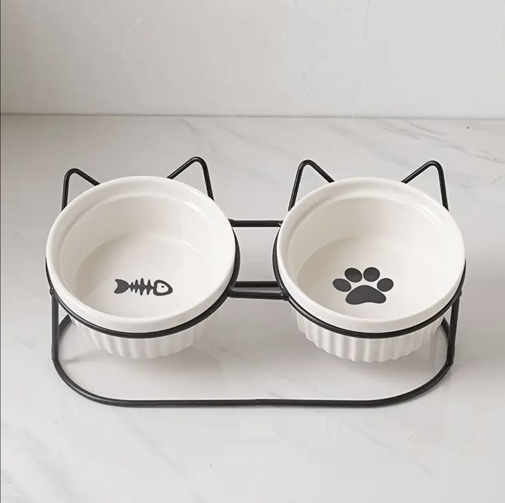 Pet Bowl